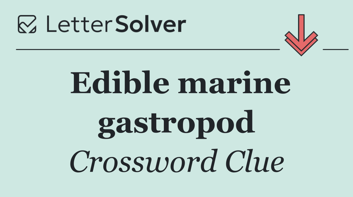 Edible marine gastropod