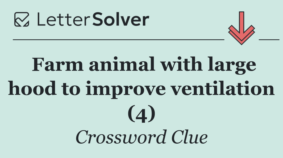Farm animal with large hood to improve ventilation (4)