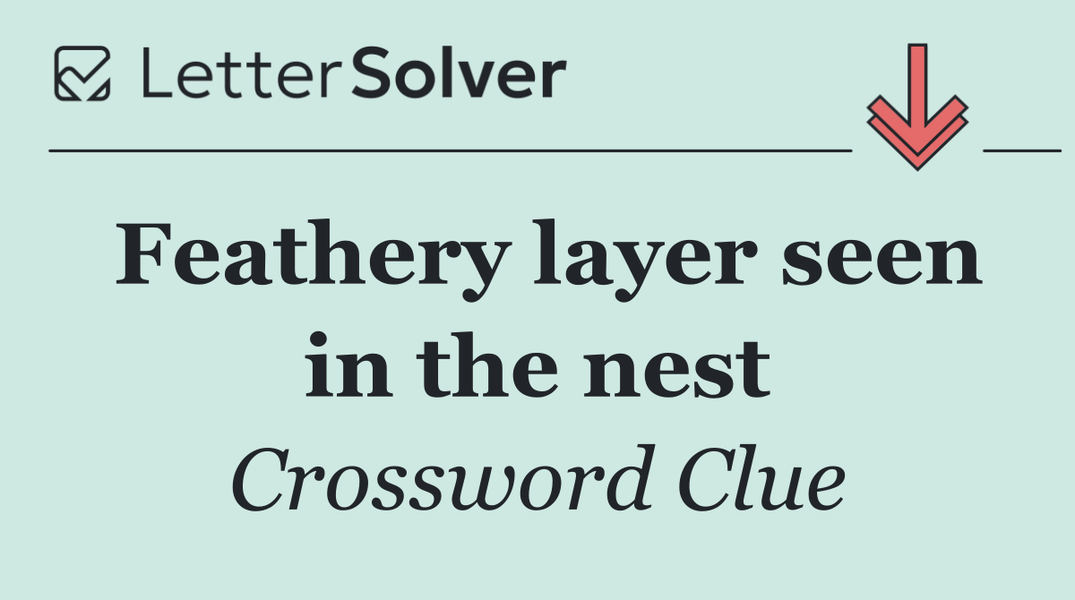 Feathery layer seen in the nest