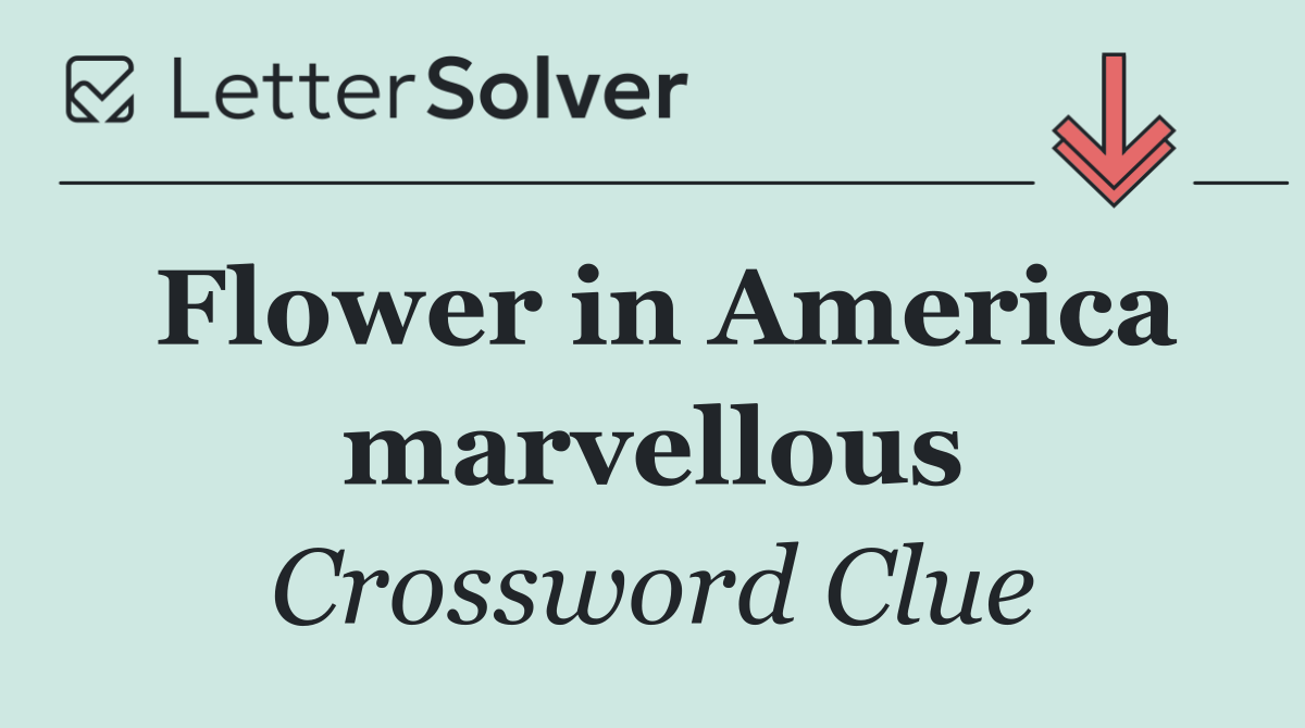 Flower in America marvellous