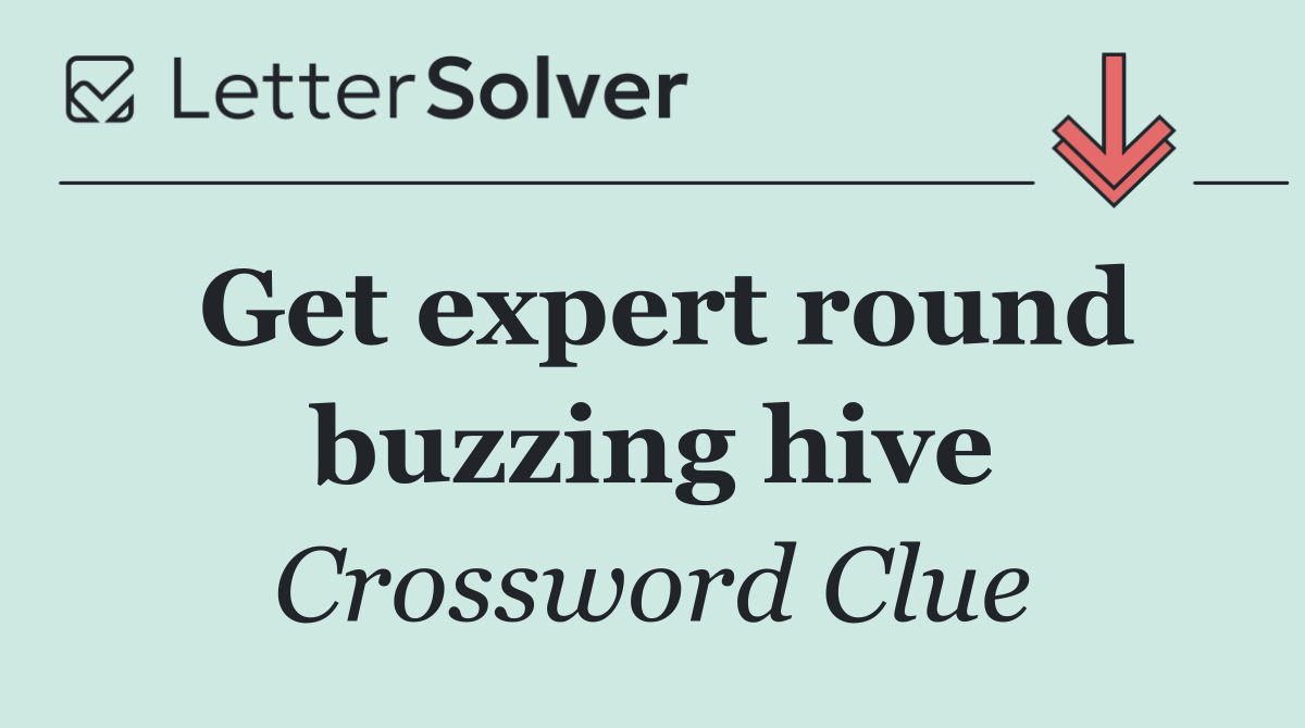 Get expert round buzzing hive