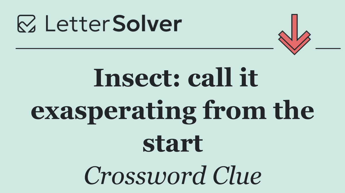 Insect: call it exasperating from the start
