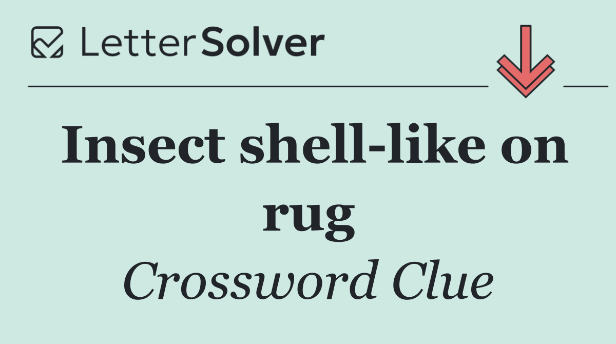 Insect shell like on rug