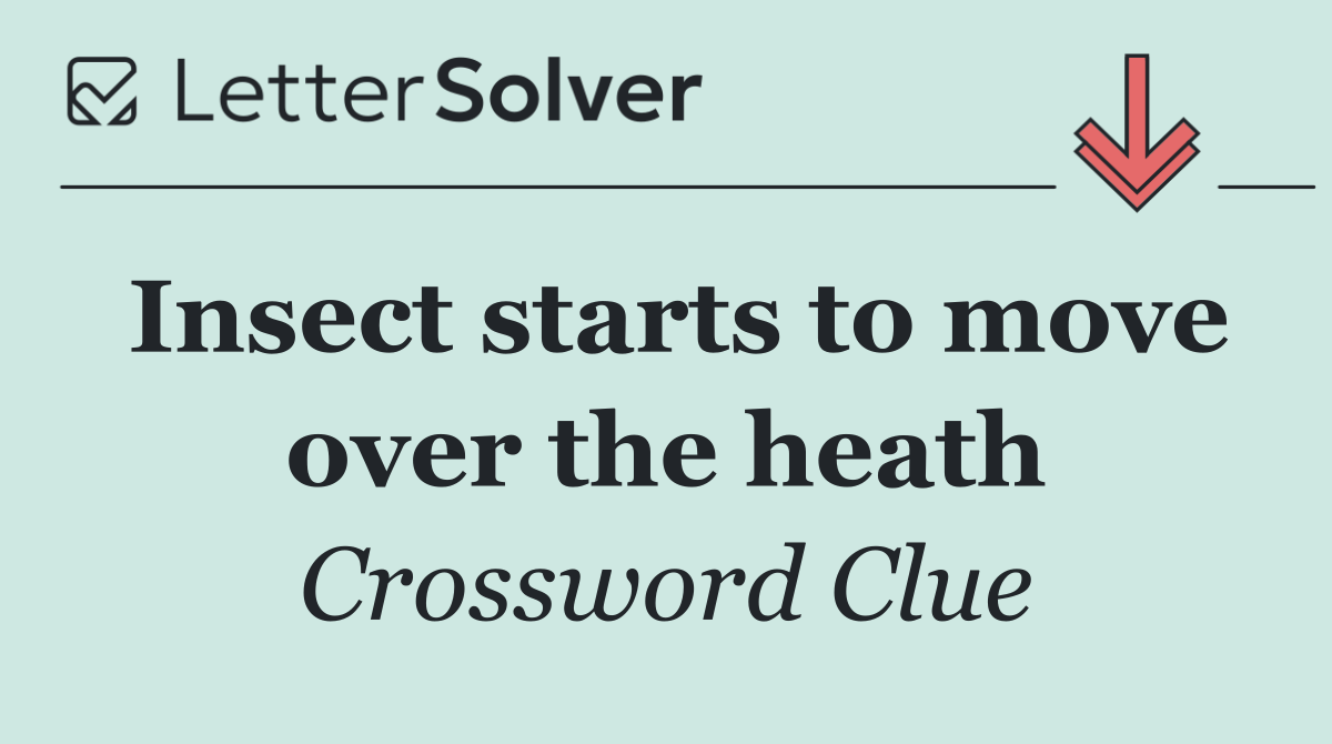 Insect starts to move over the heath