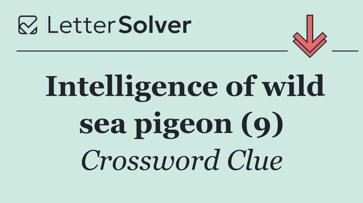 Intelligence of wild sea pigeon (9)