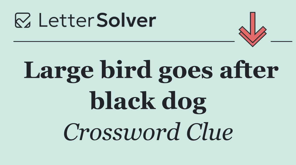 Large bird goes after black dog