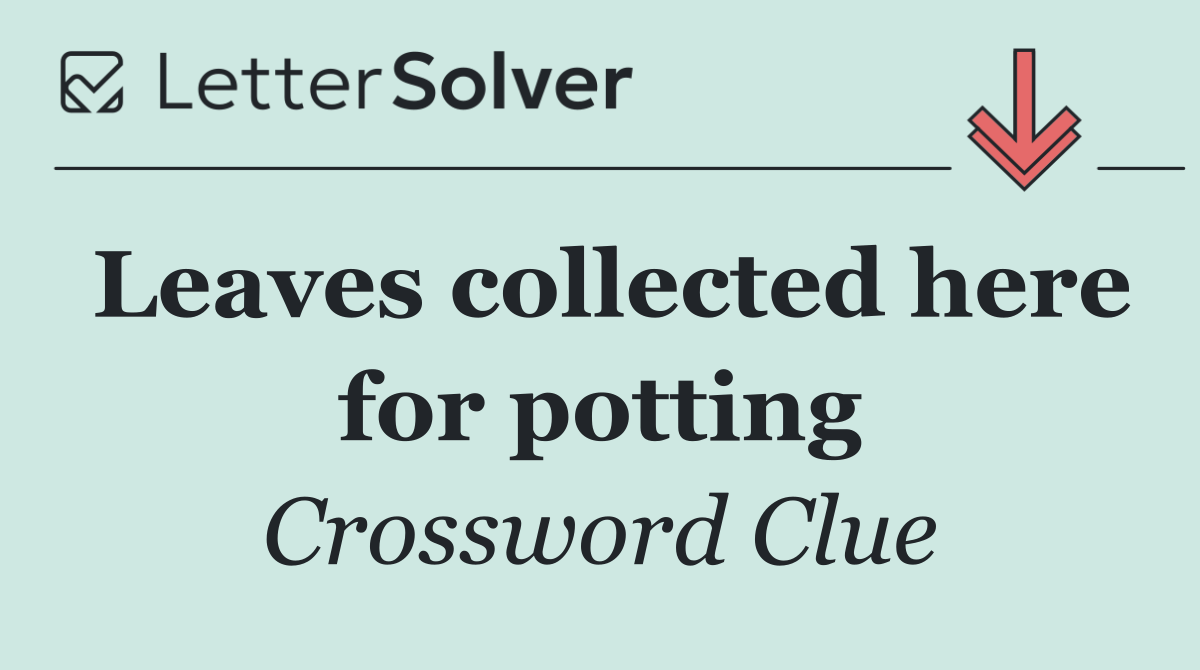 Leaves collected here for potting