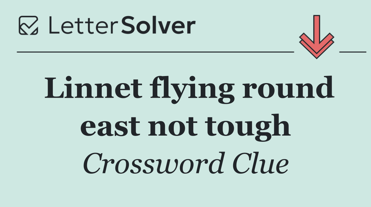 Linnet flying round east not tough