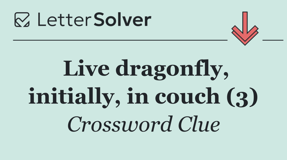 Live dragonfly, initially, in couch (3)