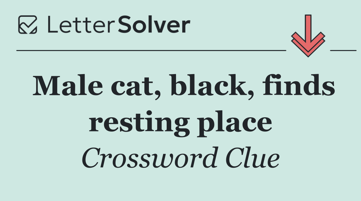 Male cat, black, finds resting place