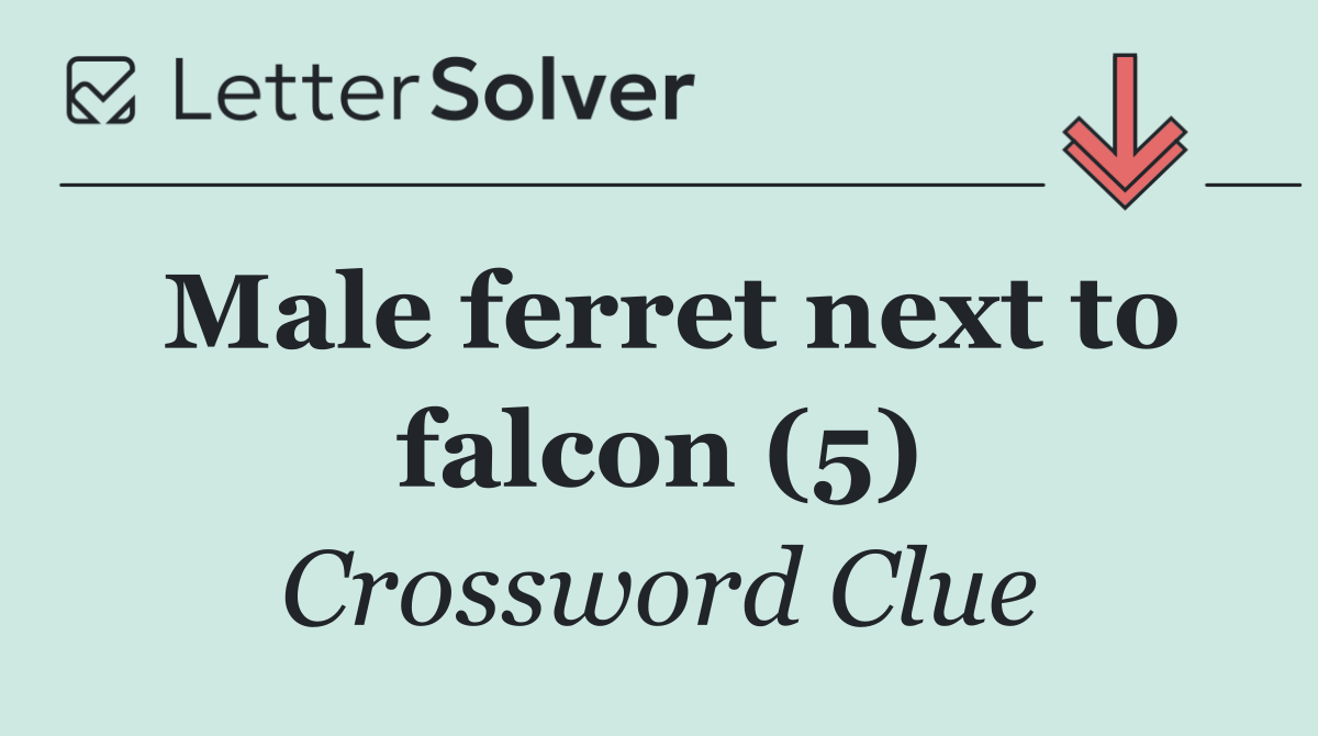 Male ferret next to falcon (5)