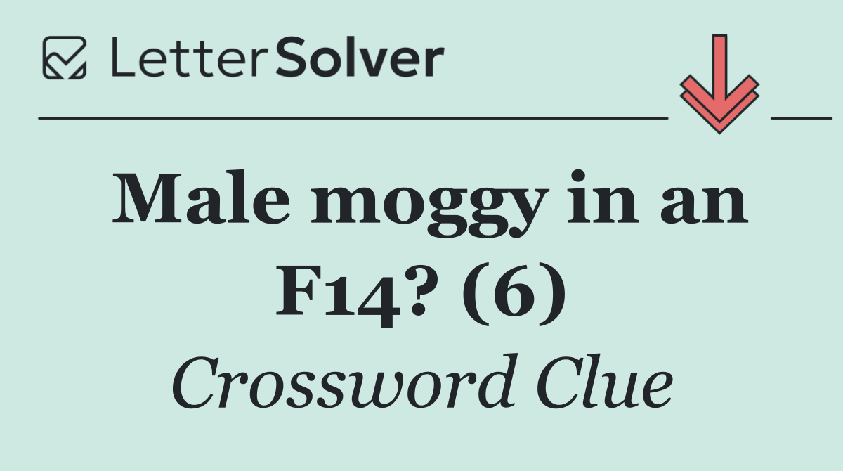 Male moggy in an F14? (6)