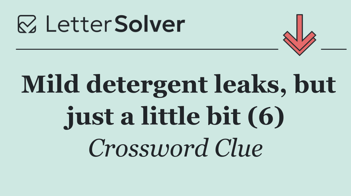 Mild detergent leaks, but just a little bit (6)