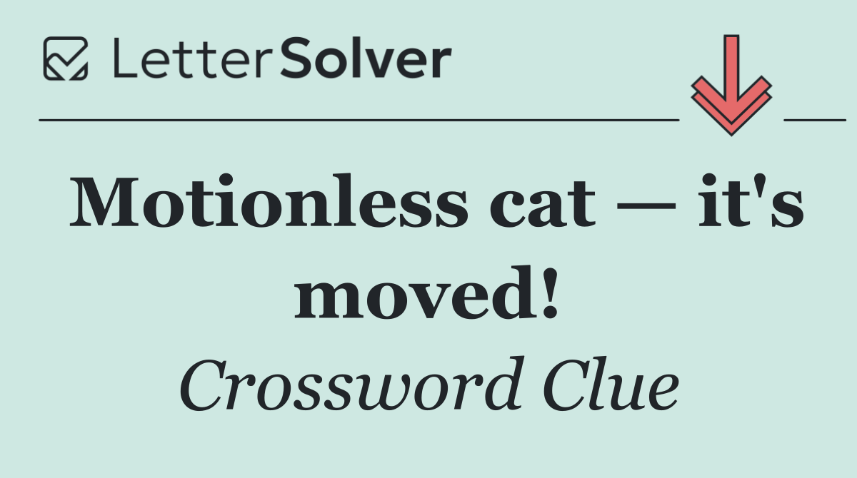 Motionless cat — it's moved!