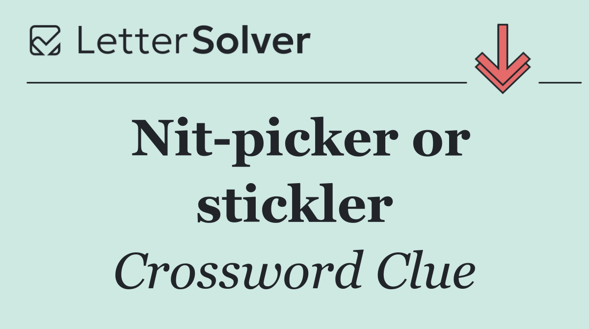 Nit picker or stickler