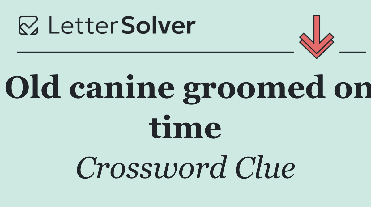 Old canine groomed on time