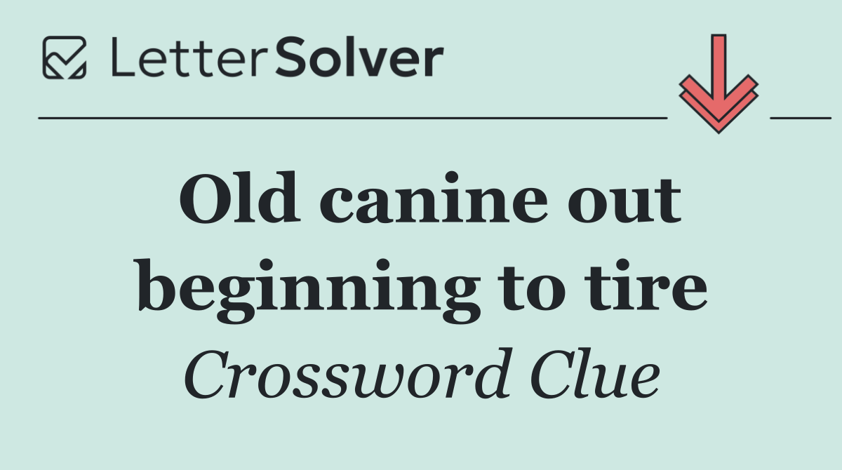 Old canine out beginning to tire