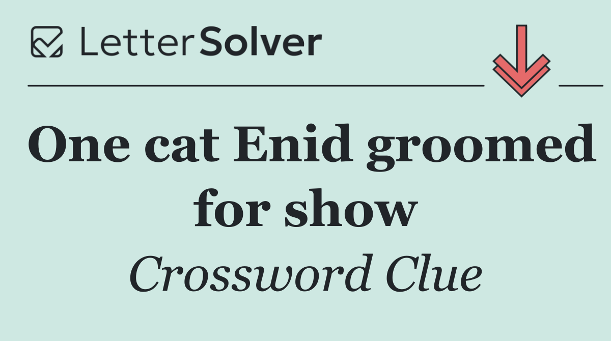 One cat Enid groomed for show