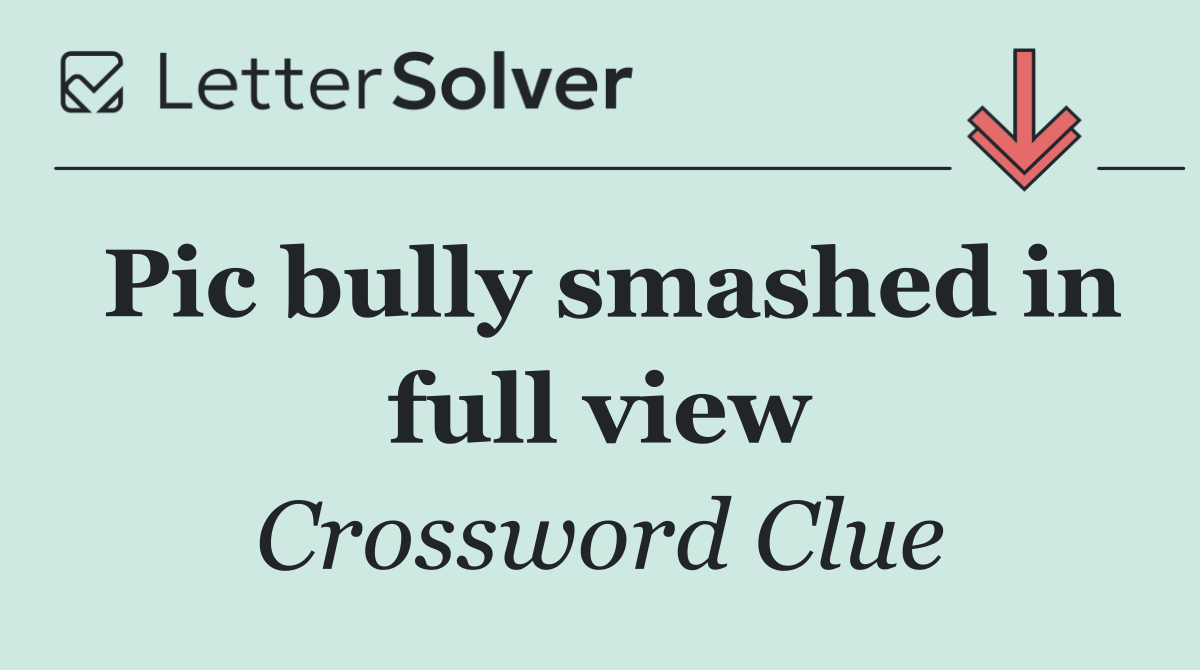 Pic bully smashed in full view