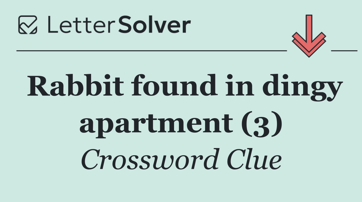 Rabbit found in dingy apartment (3)
