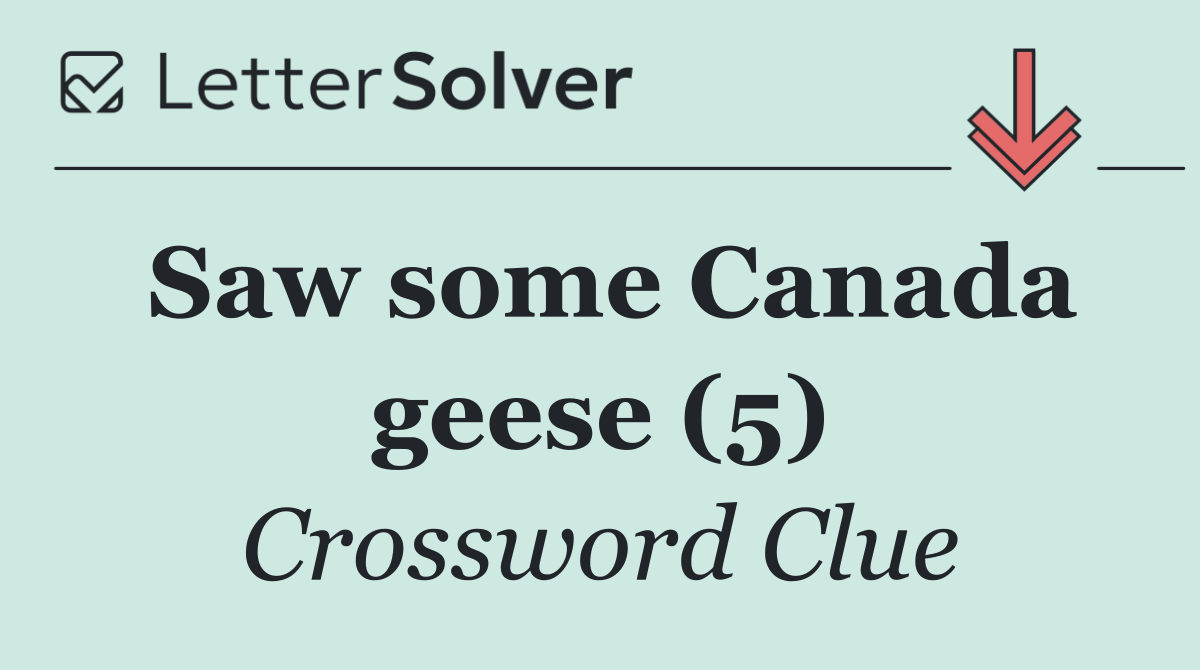 Saw some Canada geese (5)
