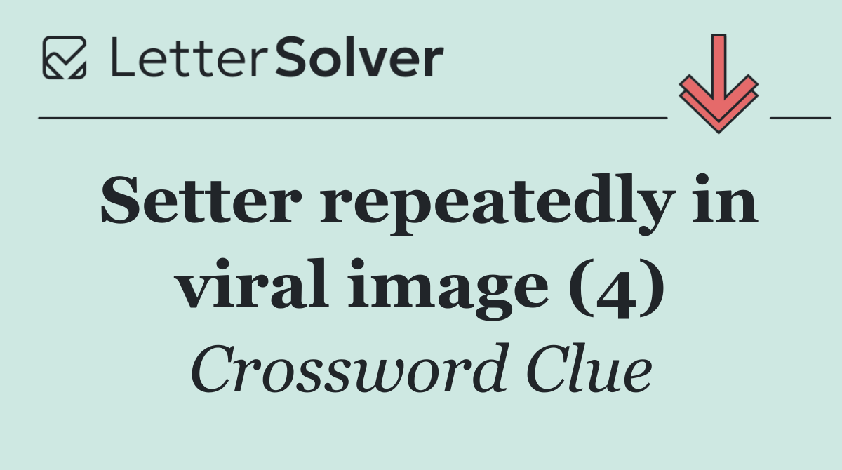 Setter repeatedly in viral image (4)