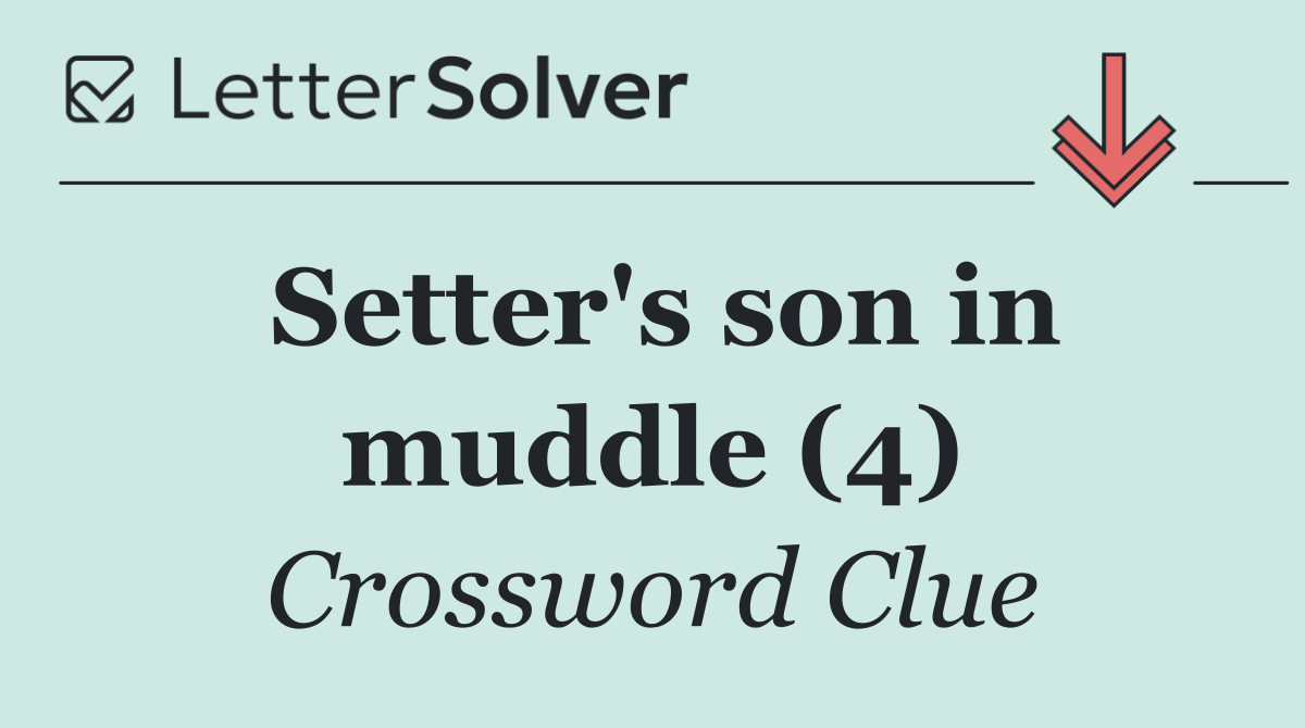 Setter's son in muddle (4)