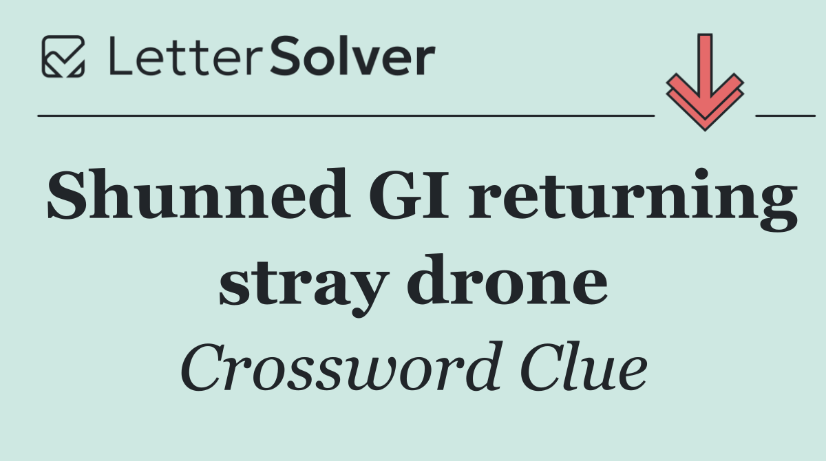 Shunned GI returning stray drone