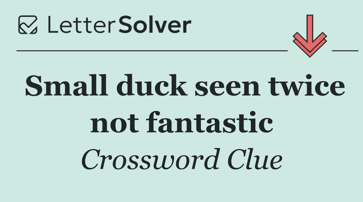 Small duck seen twice not fantastic
