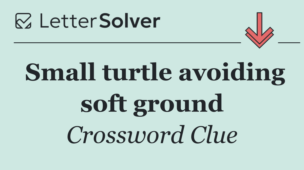 Small turtle avoiding soft ground