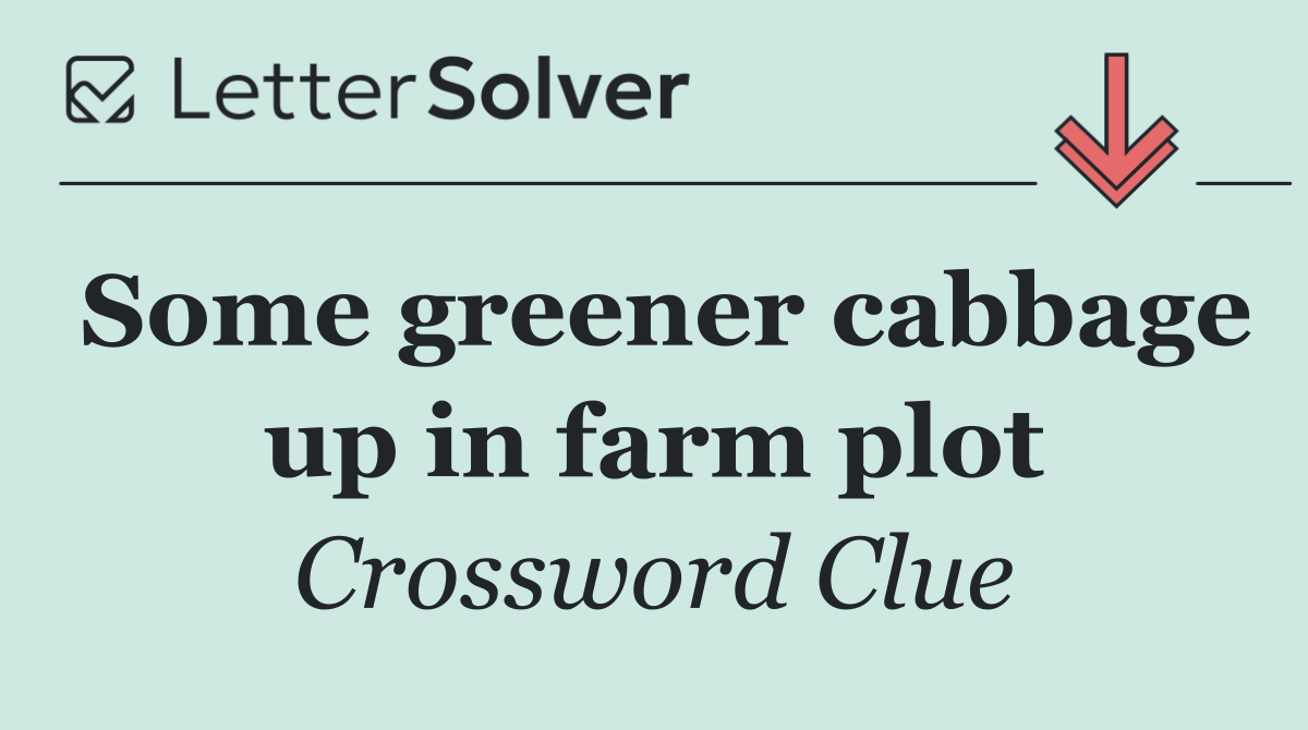 Some greener cabbage up in farm plot