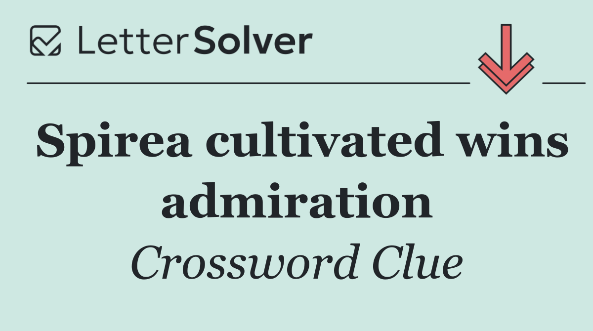 Spirea cultivated wins admiration