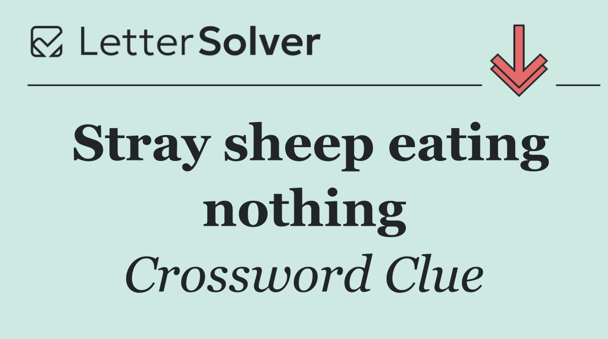 Stray sheep eating nothing