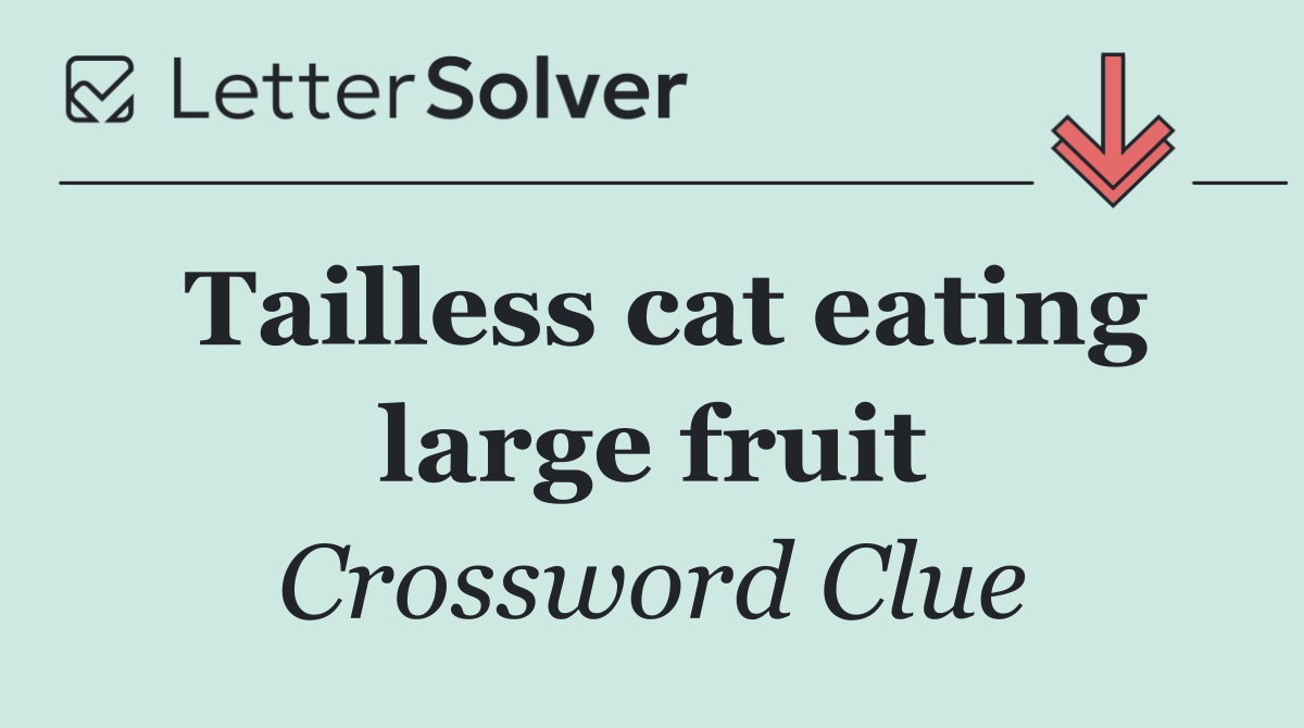 Tailless cat eating large fruit