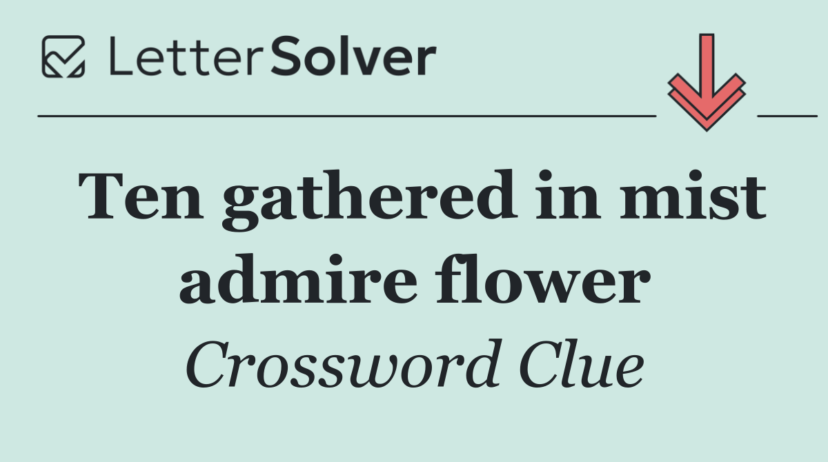 Ten gathered in mist admire flower