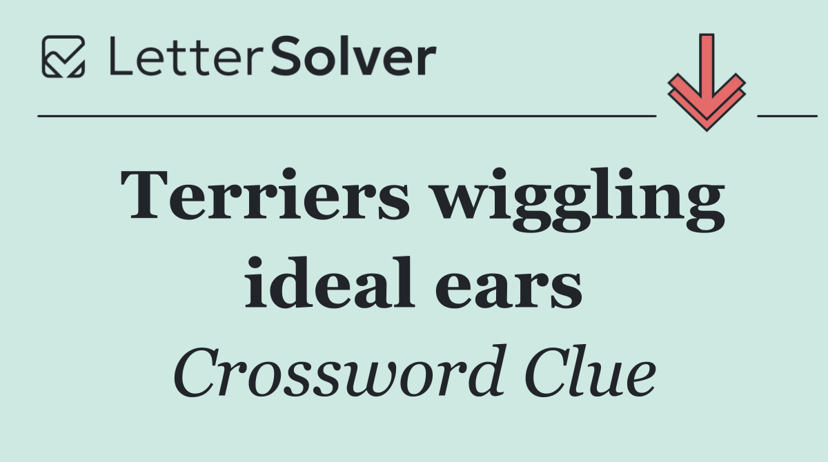 Terriers wiggling ideal ears