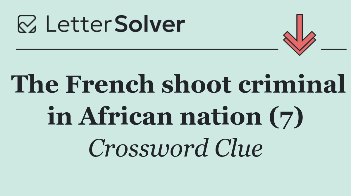 The French shoot criminal in African nation (7)