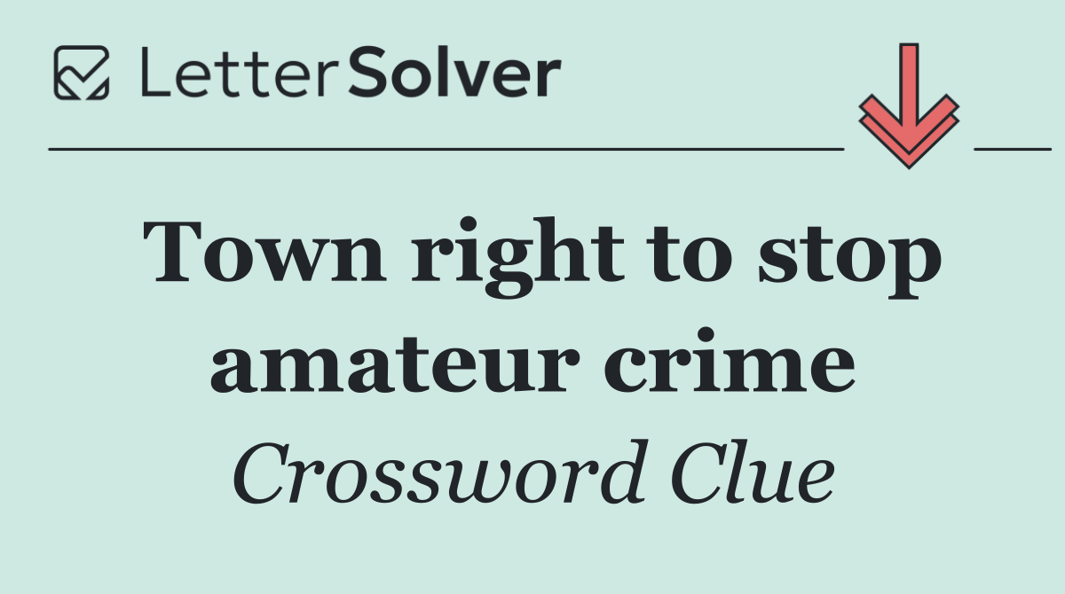 Town right to stop amateur crime