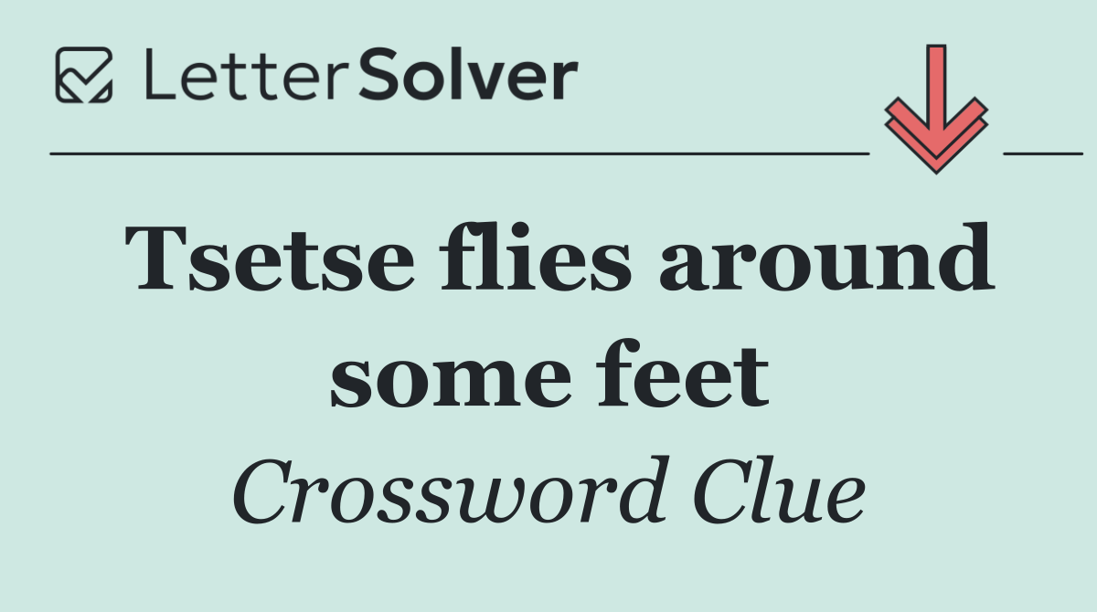 Tsetse flies around some feet