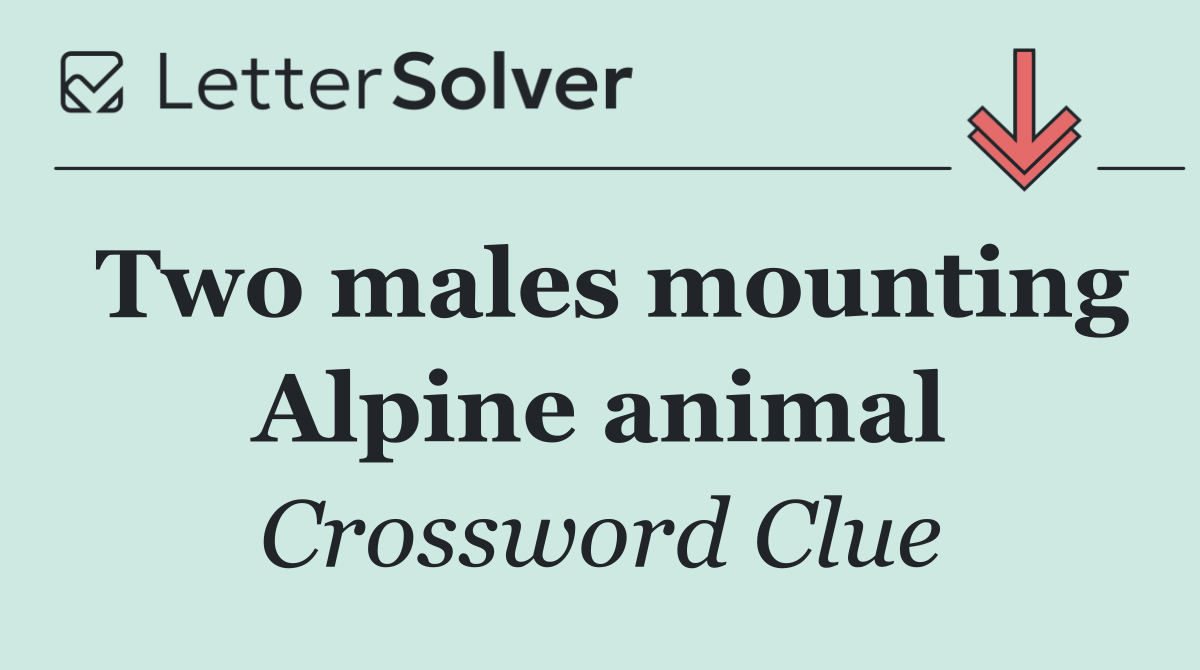 Two males mounting Alpine animal