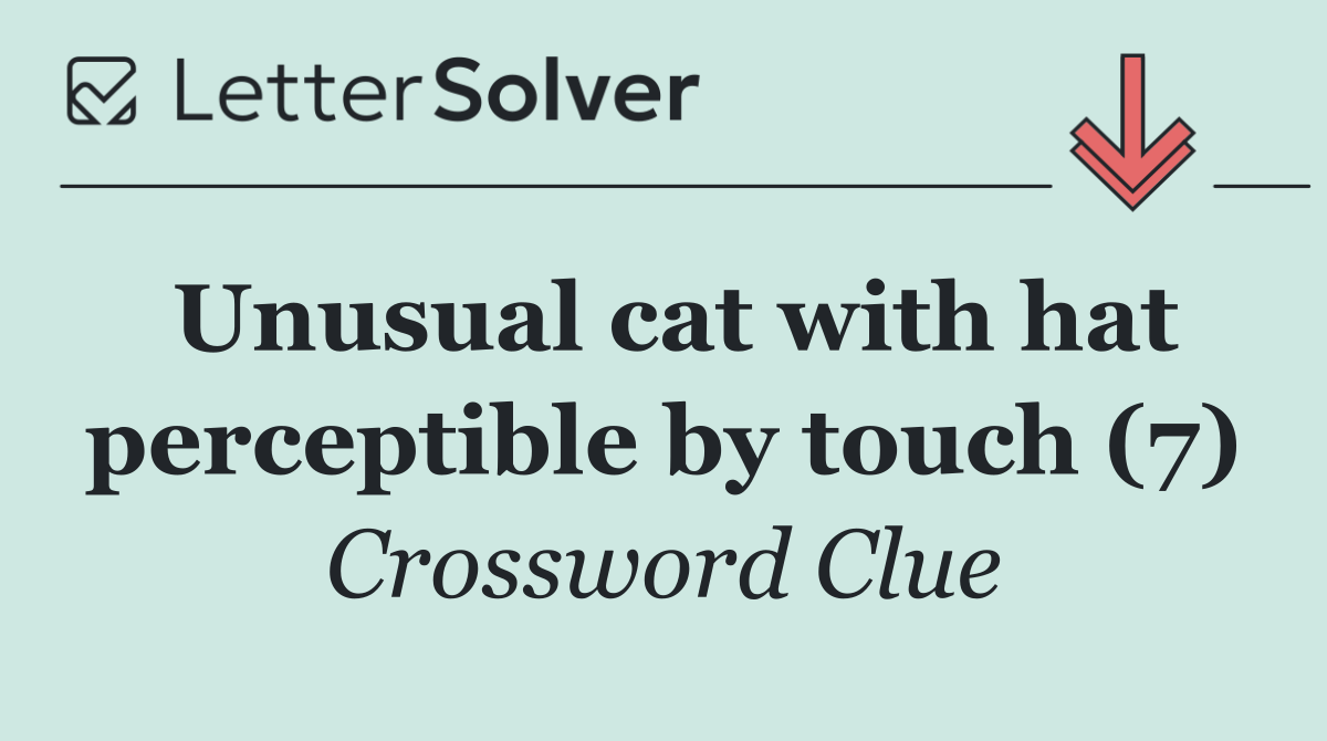 Unusual cat with hat perceptible by touch (7)
