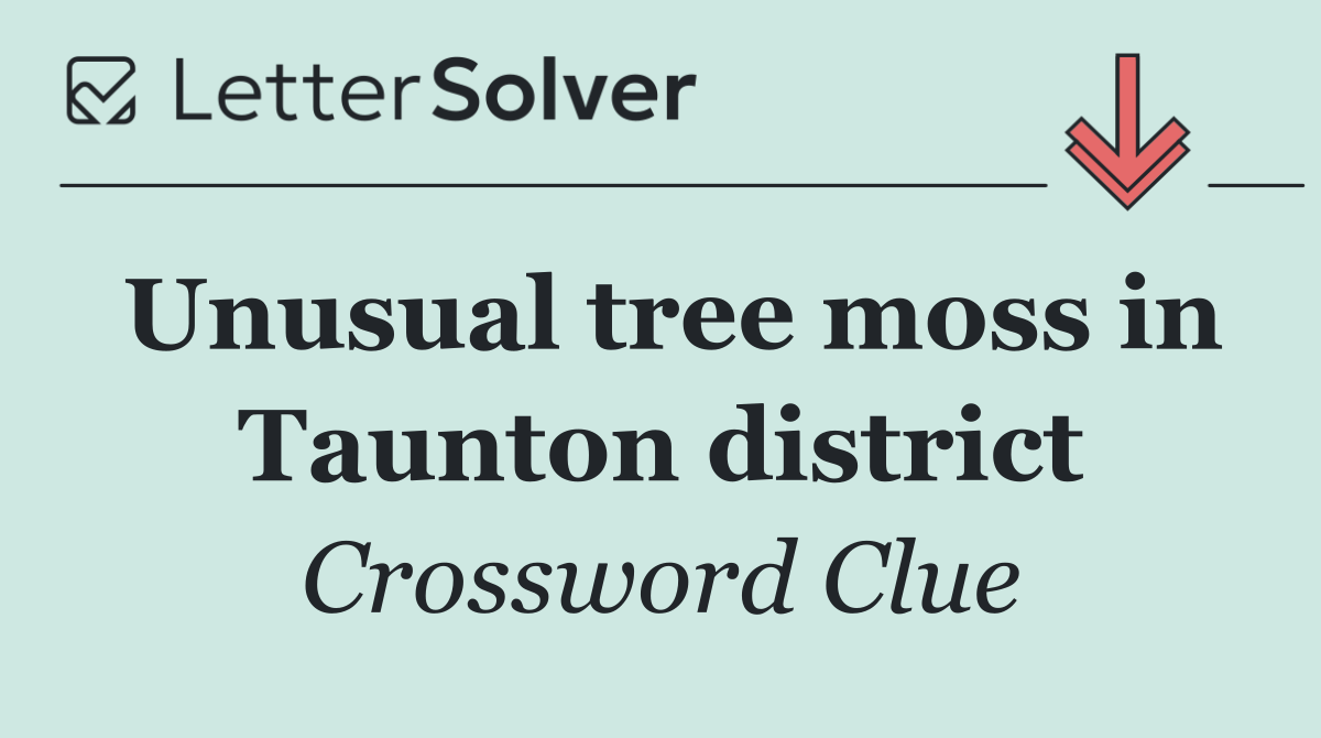 Unusual tree moss in Taunton district