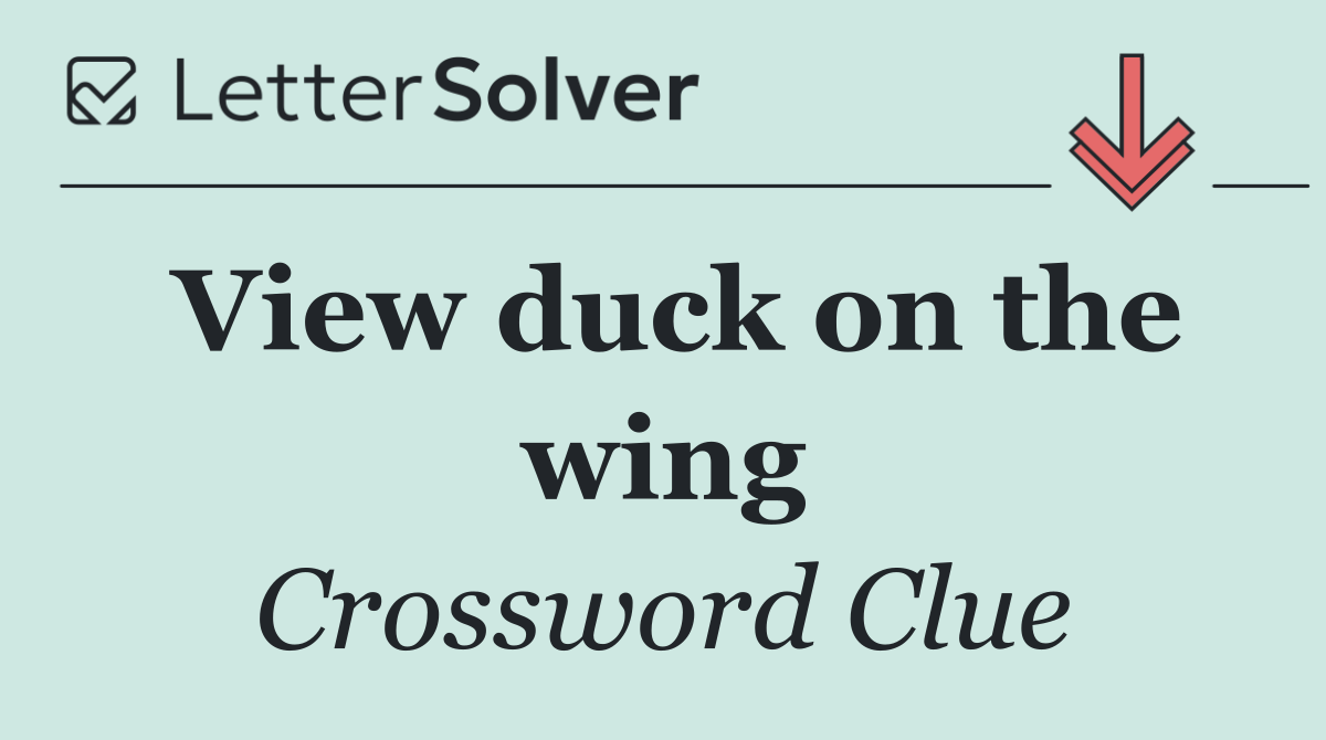 View duck on the wing