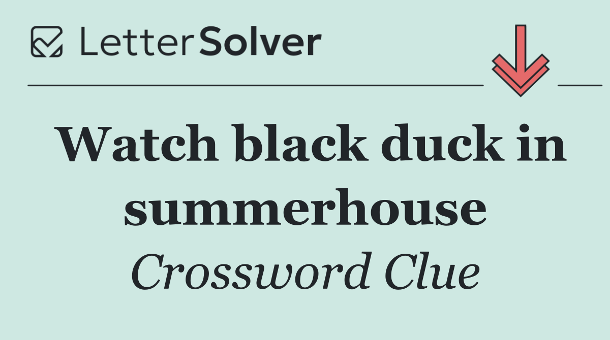 Watch black duck in summerhouse