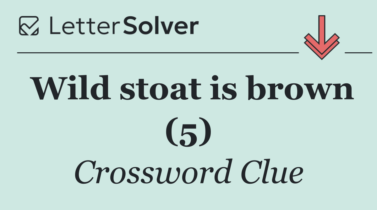 Wild stoat is brown (5)