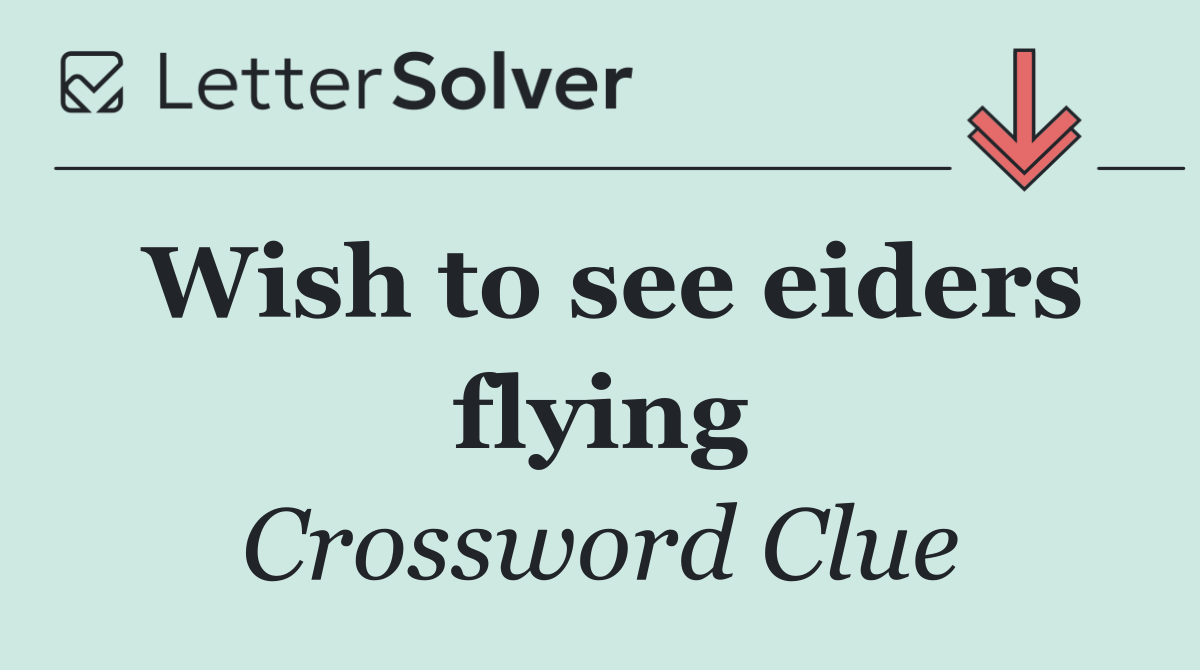 Wish to see eiders flying