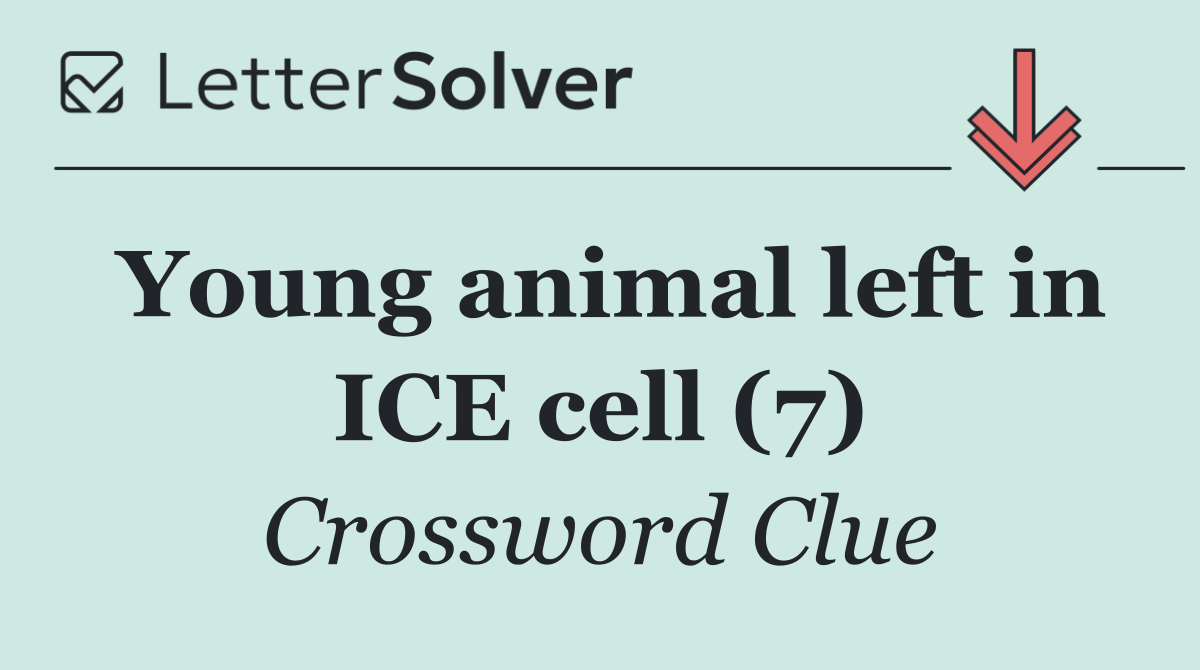 Young animal left in ICE cell (7)