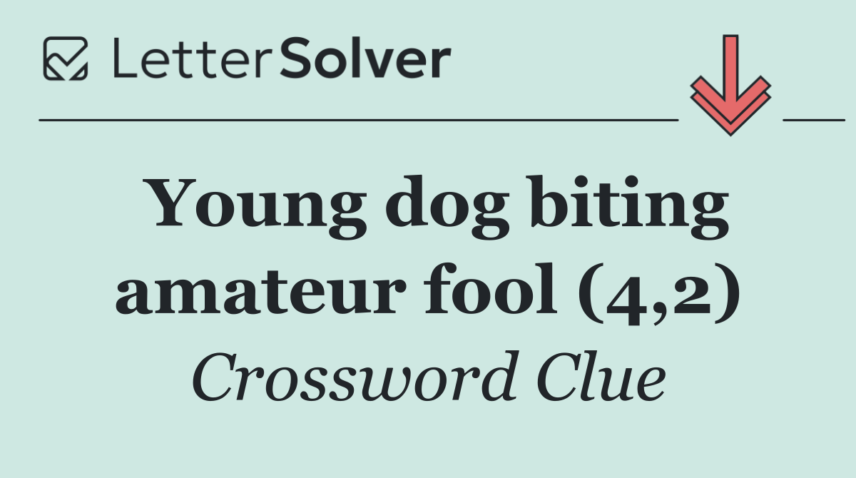 Young dog biting amateur fool (4,2)