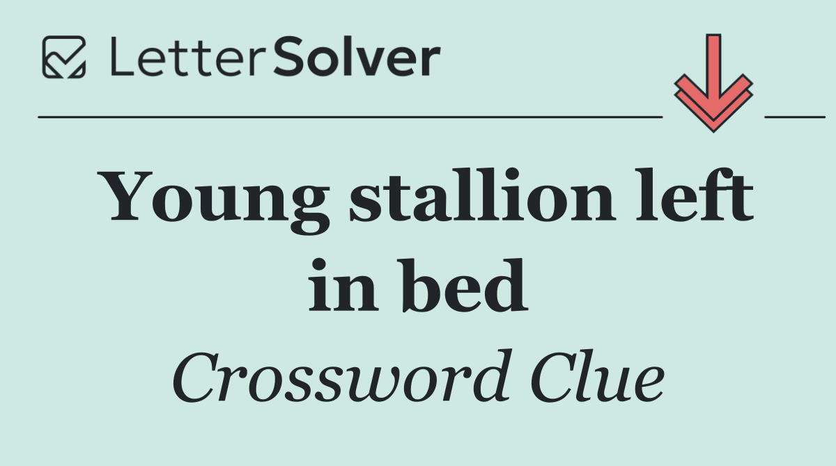 Young stallion left in bed
