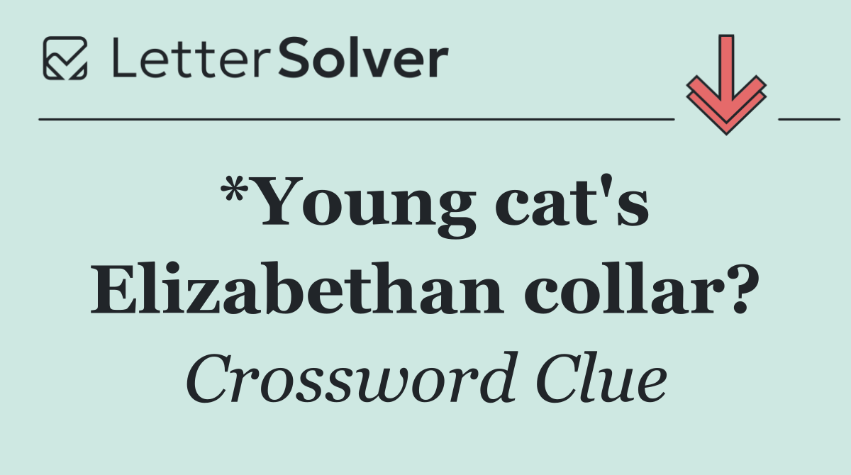 *Young cat's Elizabethan collar?
